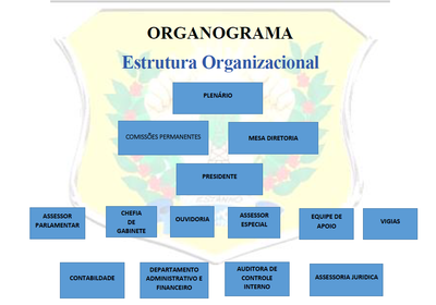 ESTRUTURA ORGANIZACIONAL